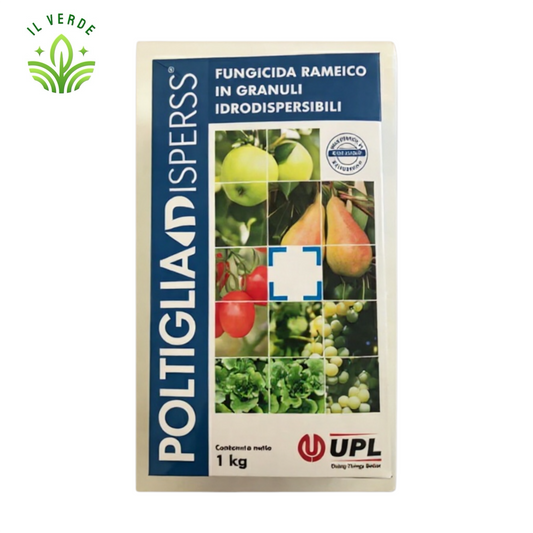 POLTIGLIA DISPERSS BORDOLESE BIO KG.1
