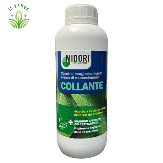 COLLANTE MIDORI 1LT