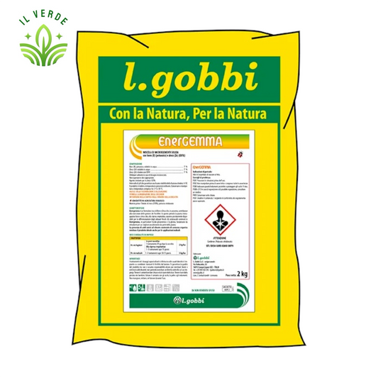 ENERGEMMA Miscela di microelementi BORO e ZINCO 2KG